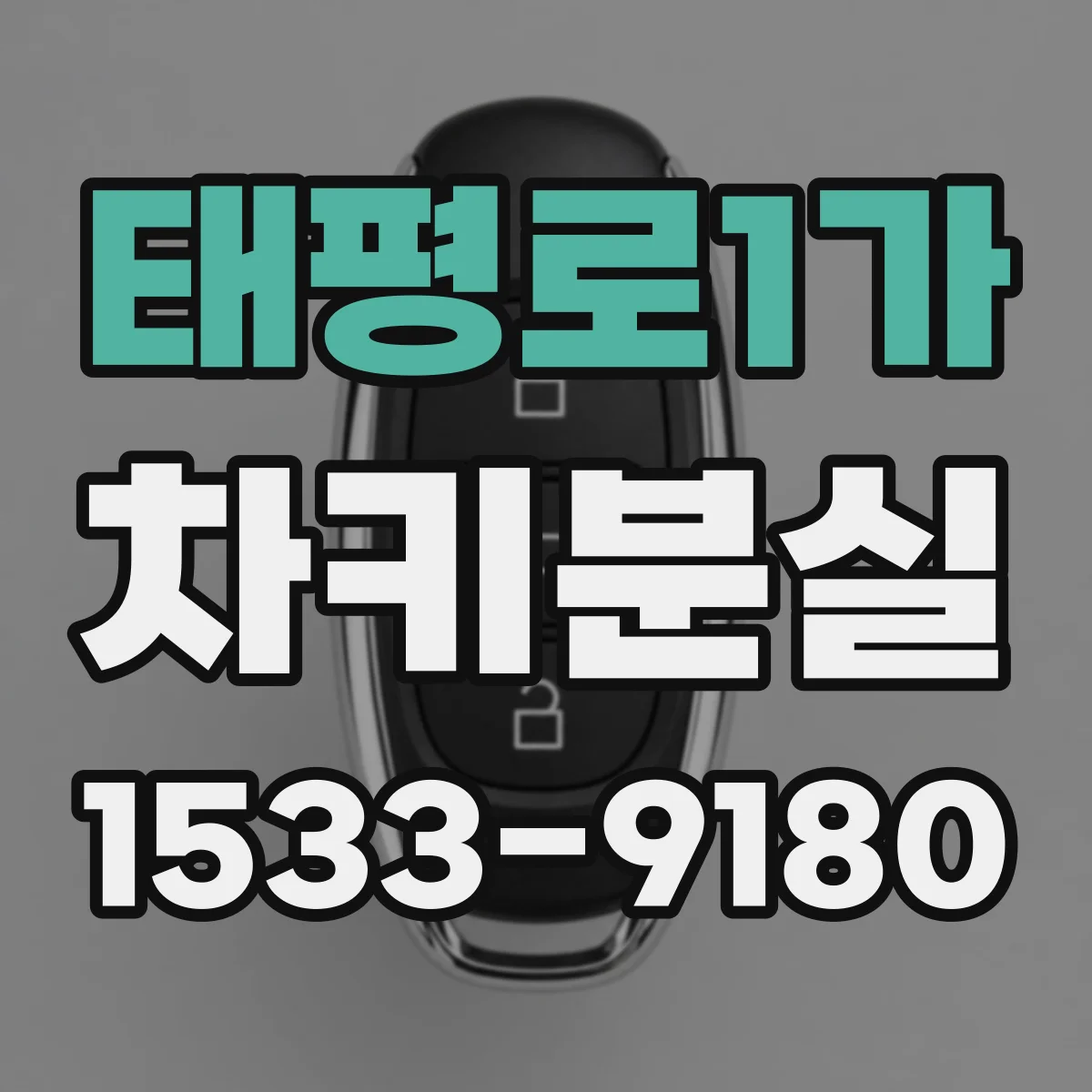태평로1가 차키분실