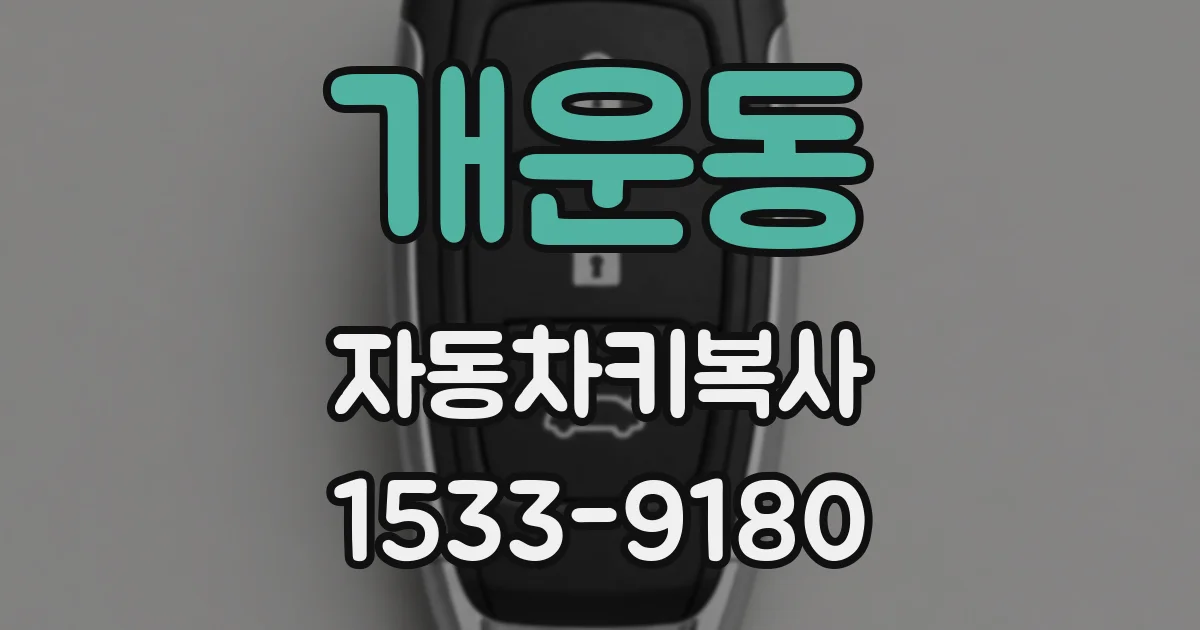 개운동 자동차키복사