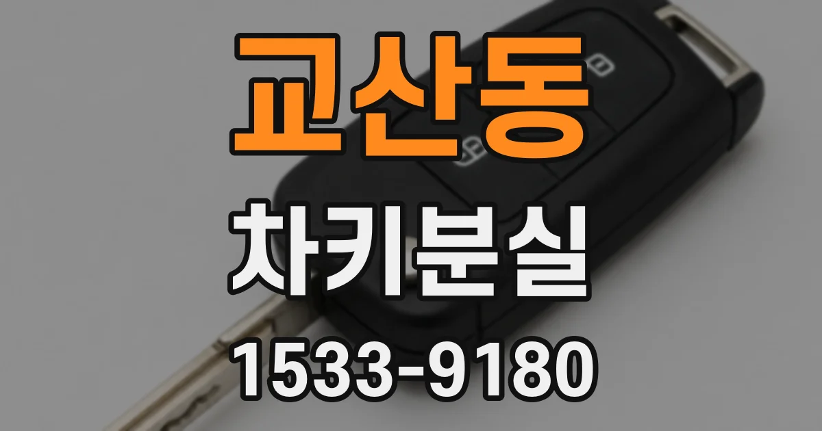 교산동 차키분실