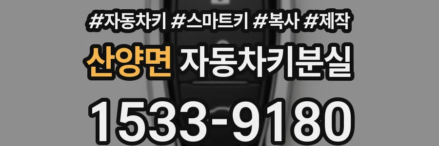 산양면 자동차키분실