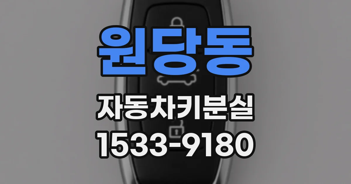 원당동 자동차키분실