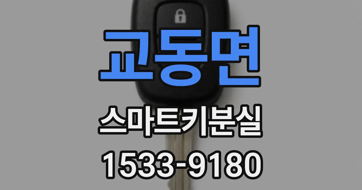 교동면 스마트키분실