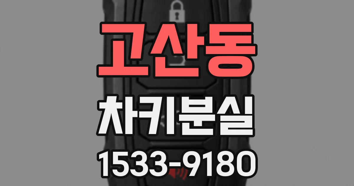 고산동 차키분실