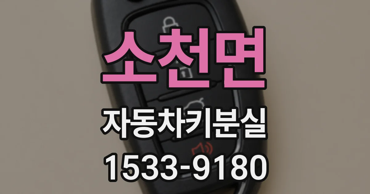 소천면 자동차키분실