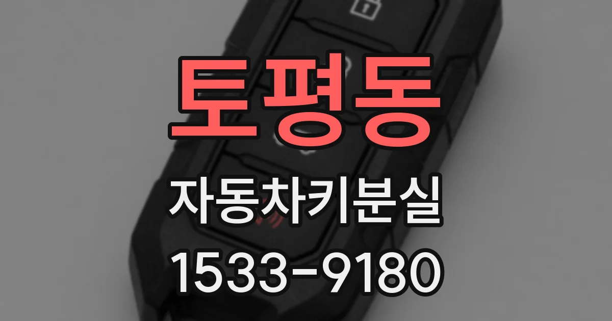 토평동 자동차키분실