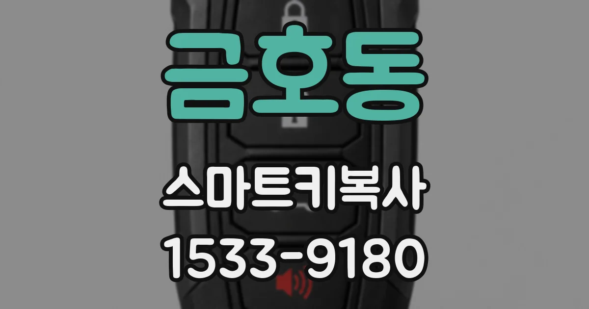 금호동 스마트키복사