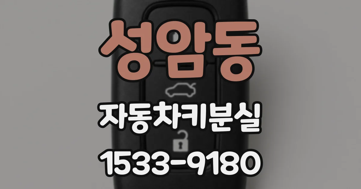성암동 자동차키분실