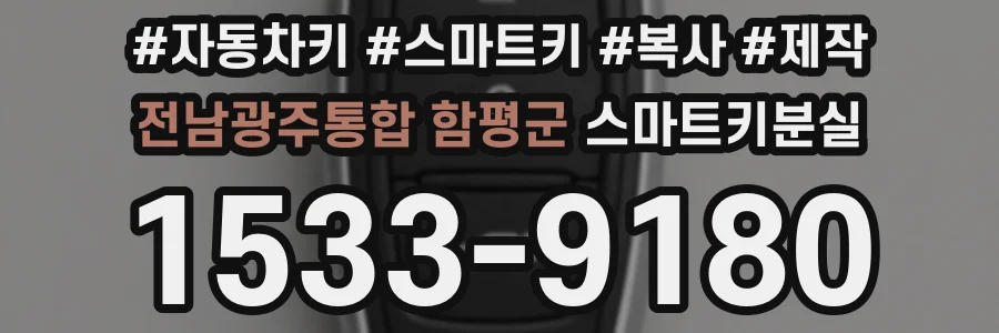 전남광주통합 함평군 스마트키분실