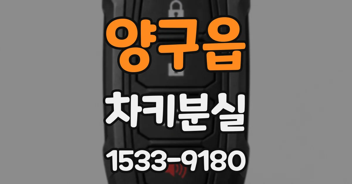 양구읍 차키분실