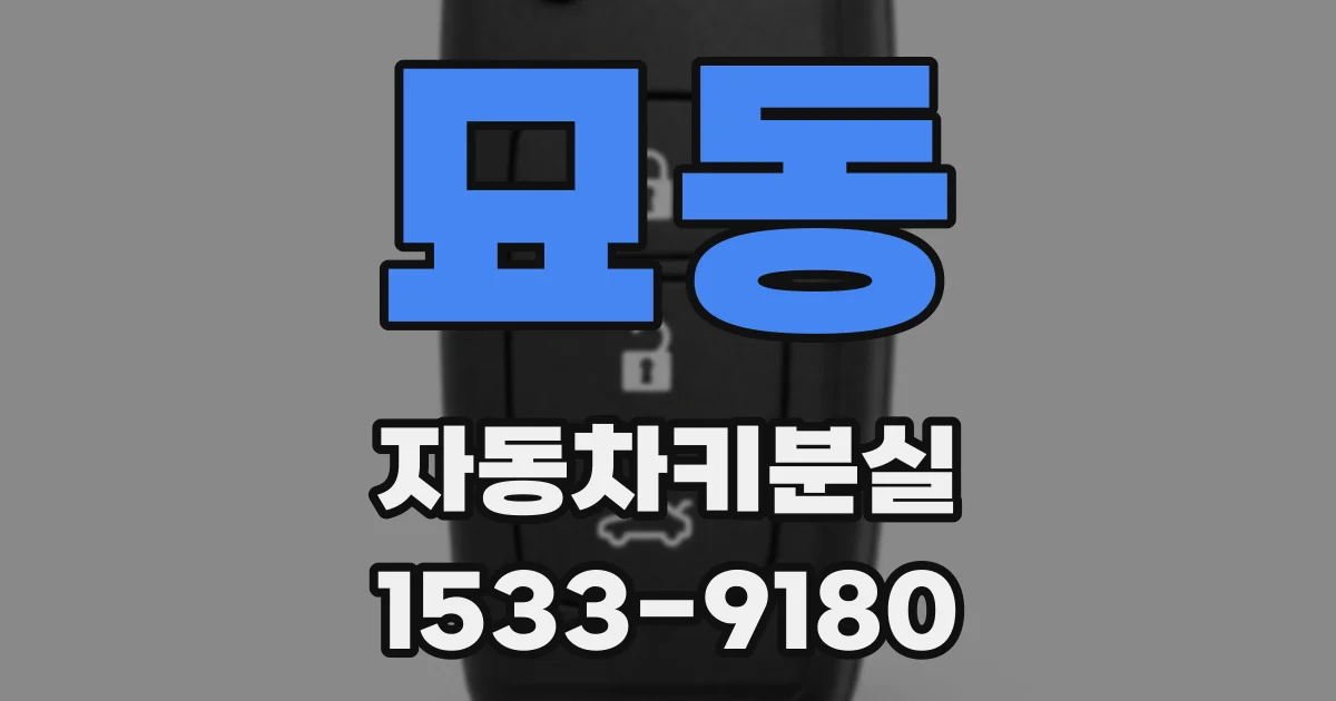 묘동 자동차키분실