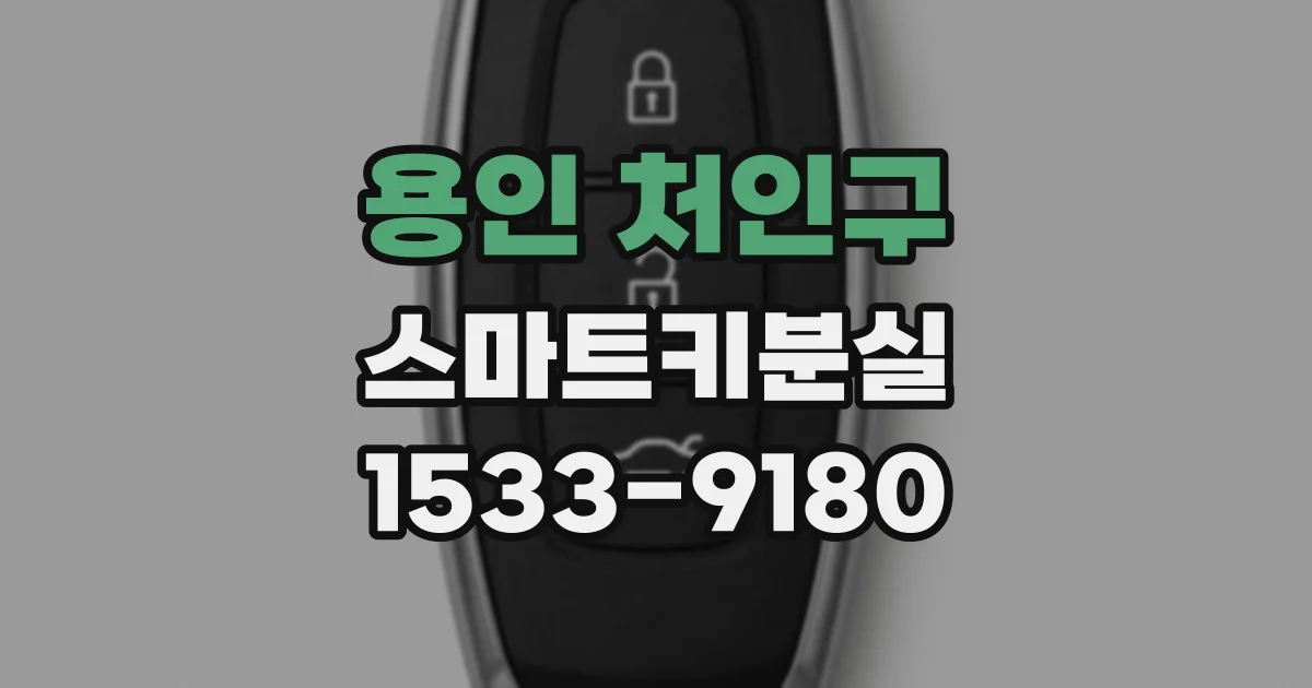 용인 처인구 스마트키분실