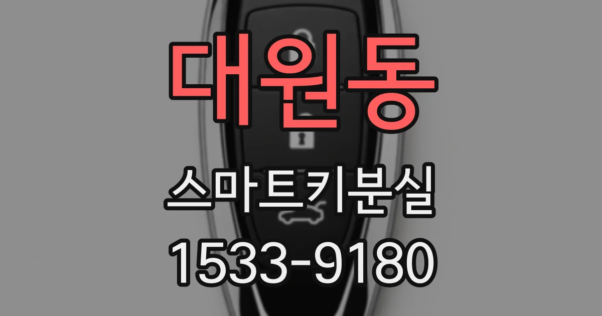 대원동 스마트키분실
