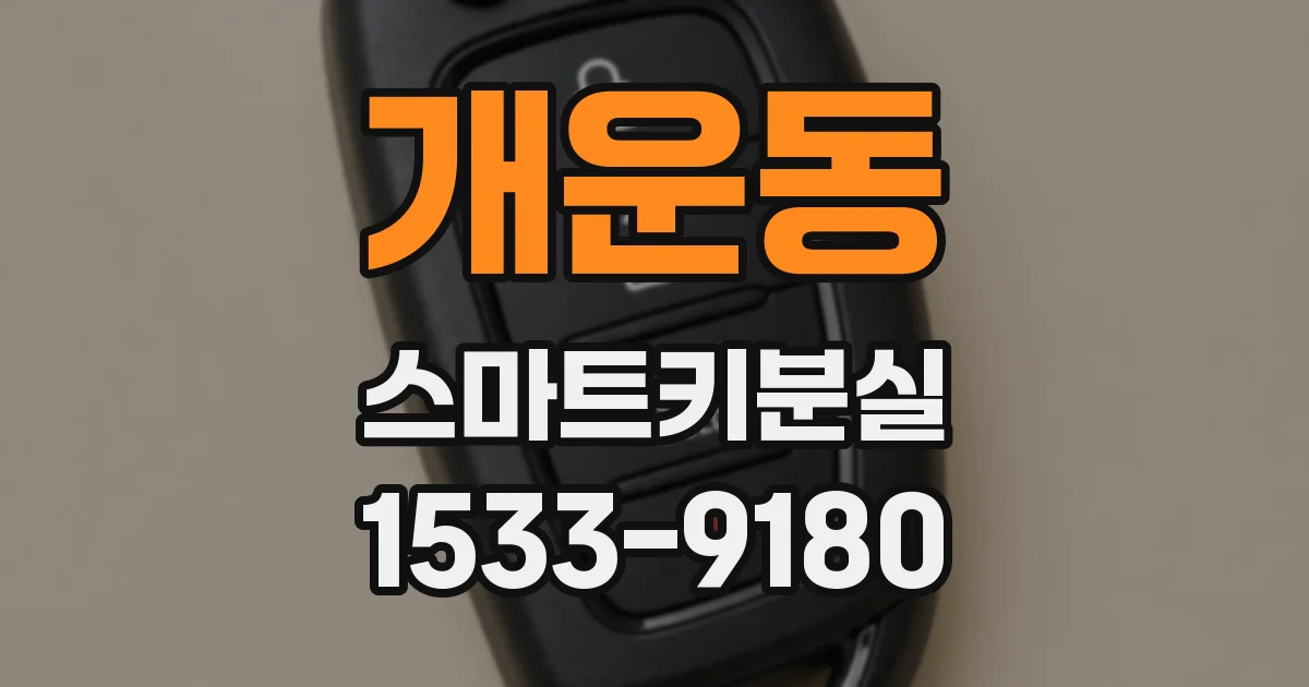 개운동 스마트키분실
