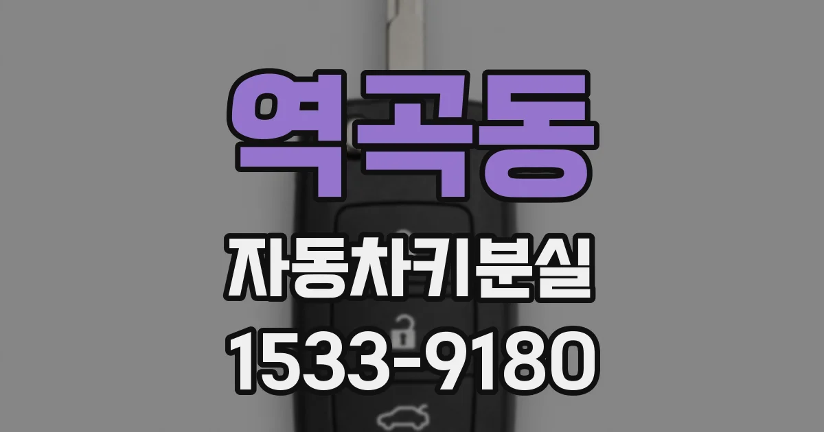 역곡동 자동차키분실