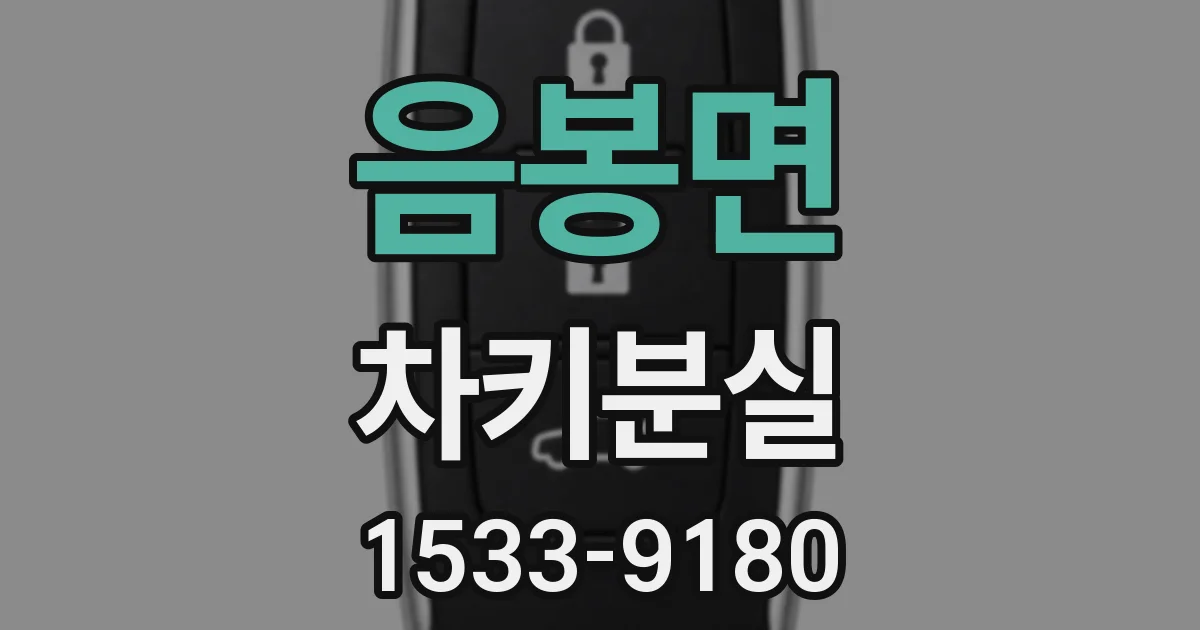 음봉면 차키분실