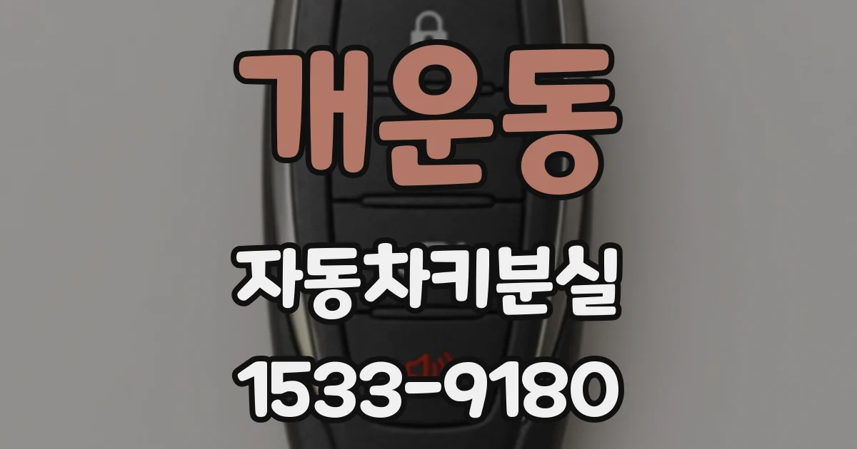 개운동 자동차키분실