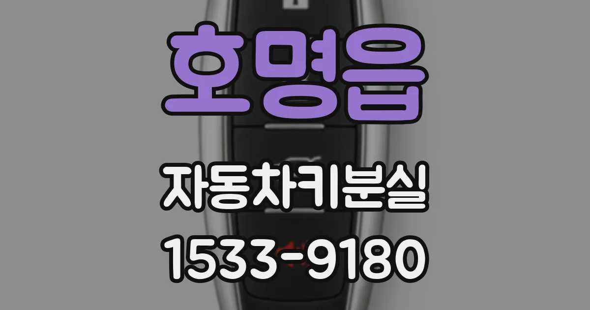 호명읍 자동차키분실