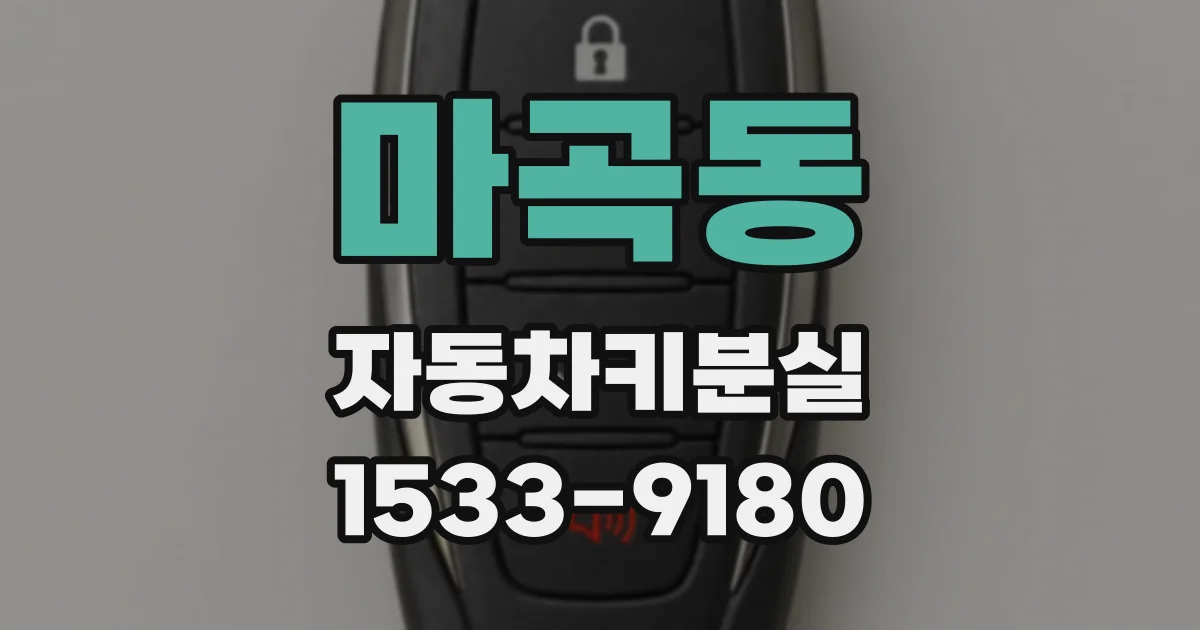 마곡동 자동차키분실