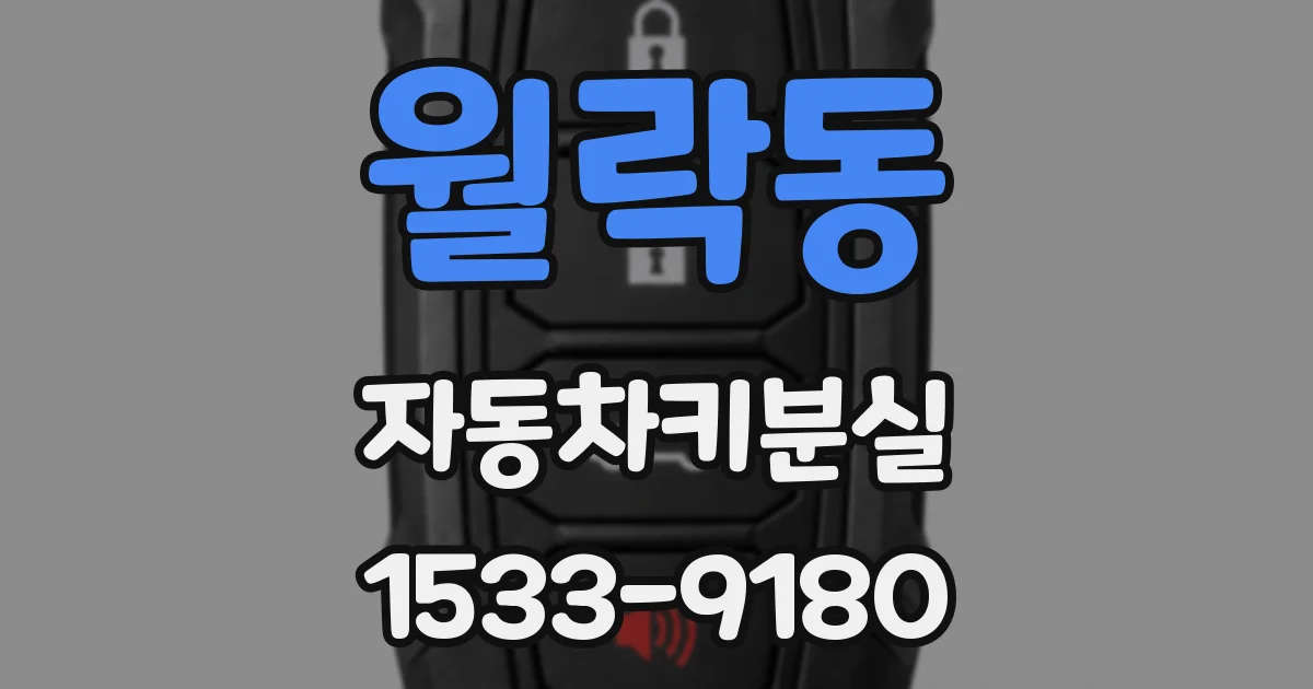 월락동 자동차키분실