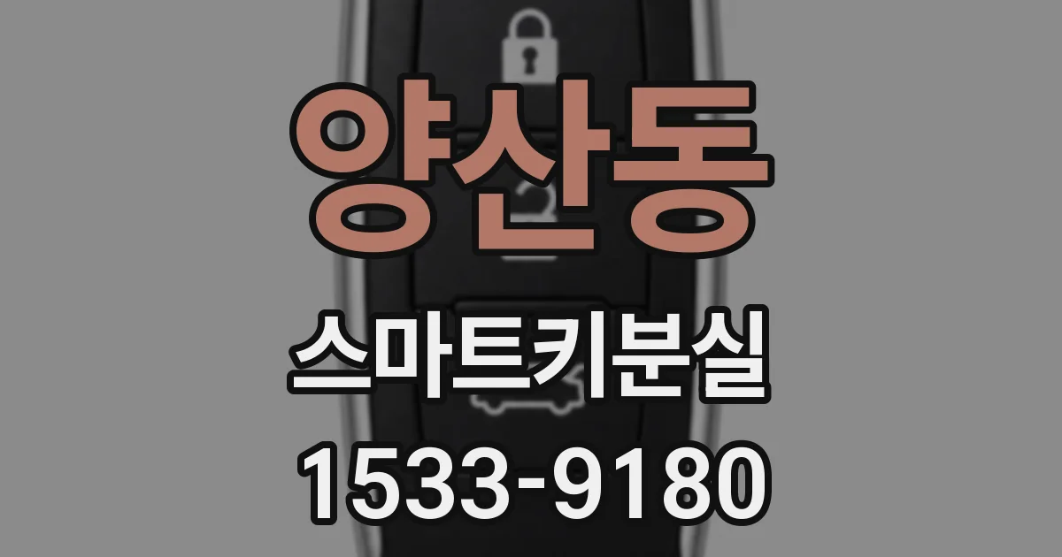 양산동 스마트키분실