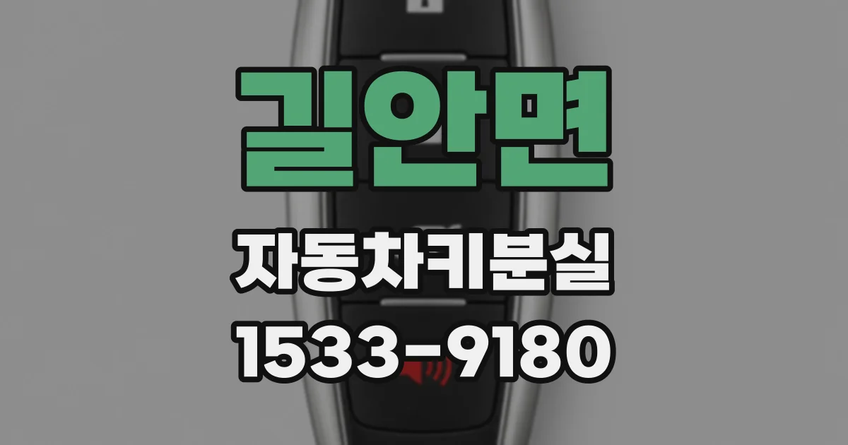 길안면 자동차키분실