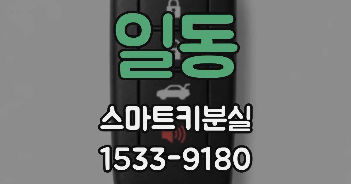 일동 스마트키분실