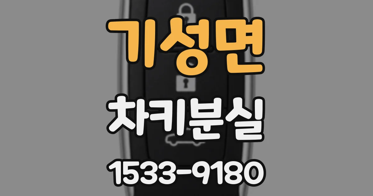 기성면 차키분실