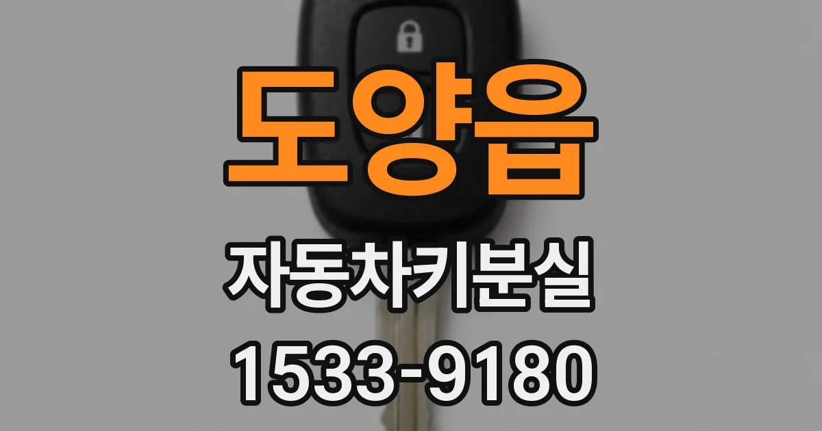 도양읍 자동차키분실