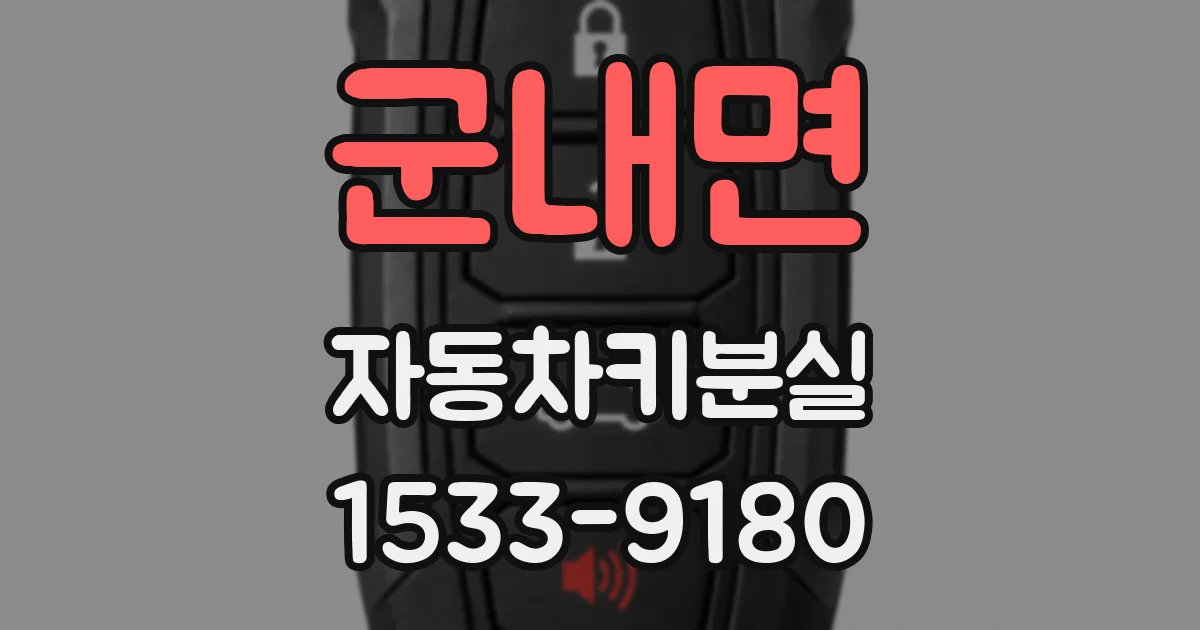 군내면 자동차키분실