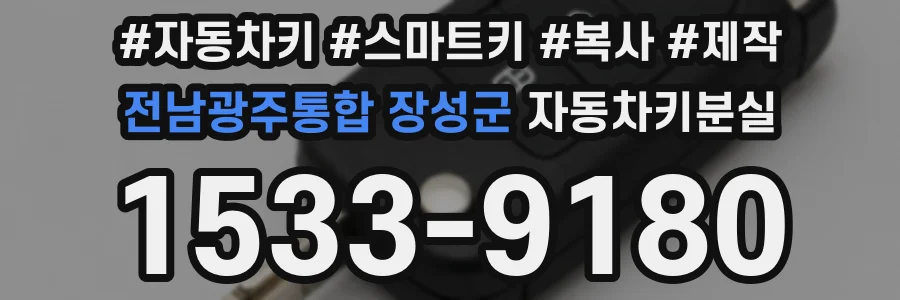 전남광주통합 장성군 자동차키분실