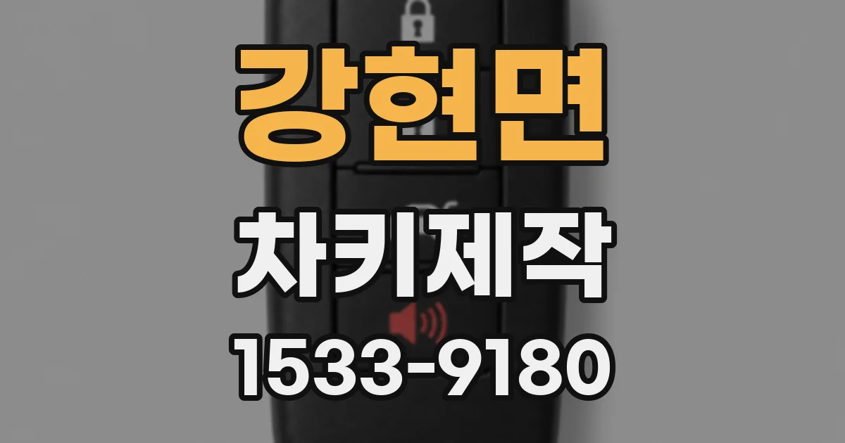강현면 차키제작