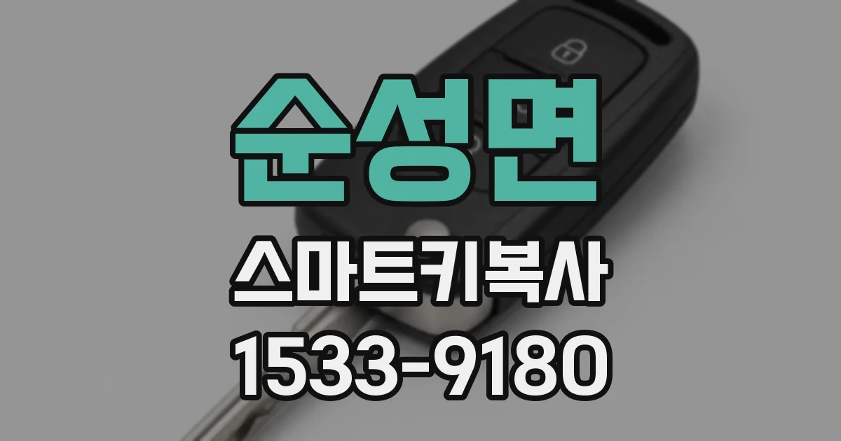 순성면 스마트키복사