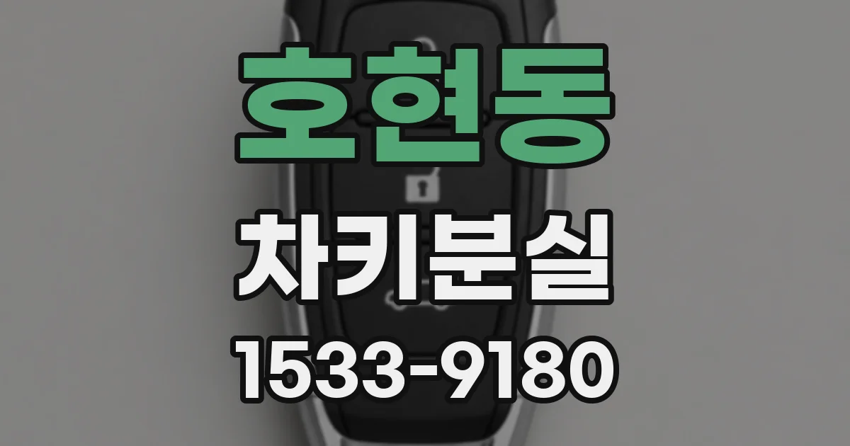 호현동 차키분실