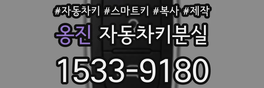 옹진 자동차키분실