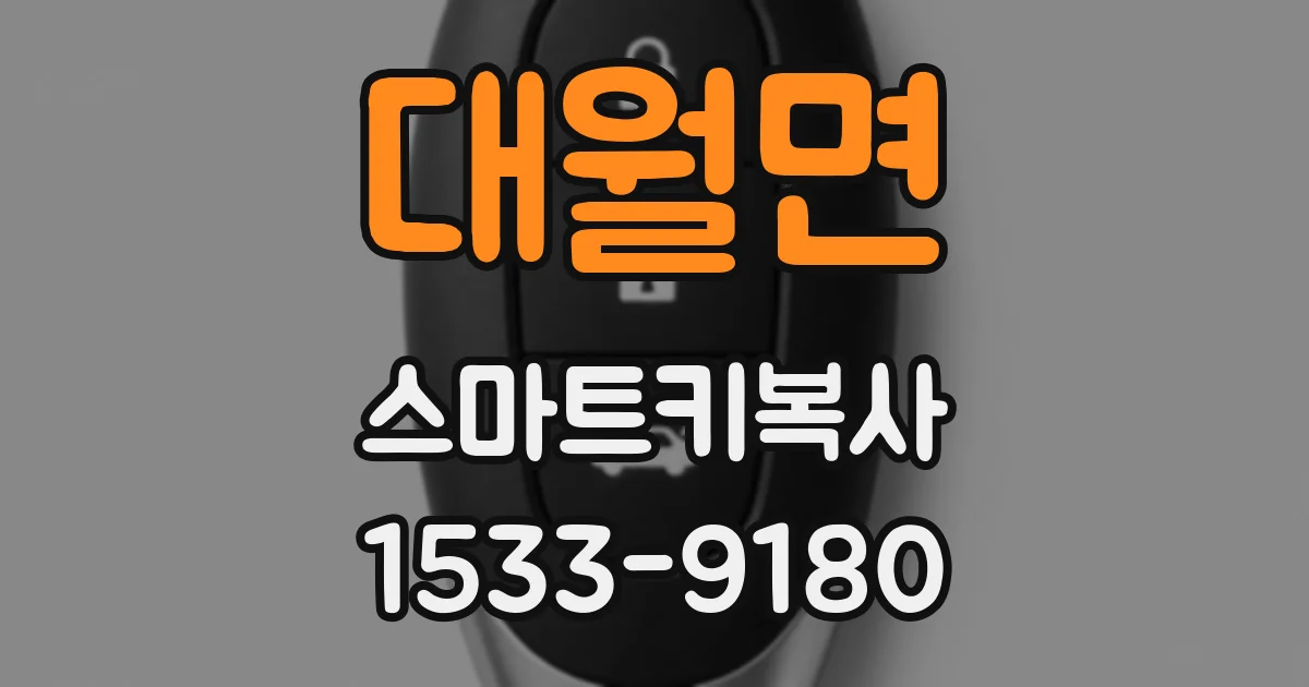 대월면 스마트키복사