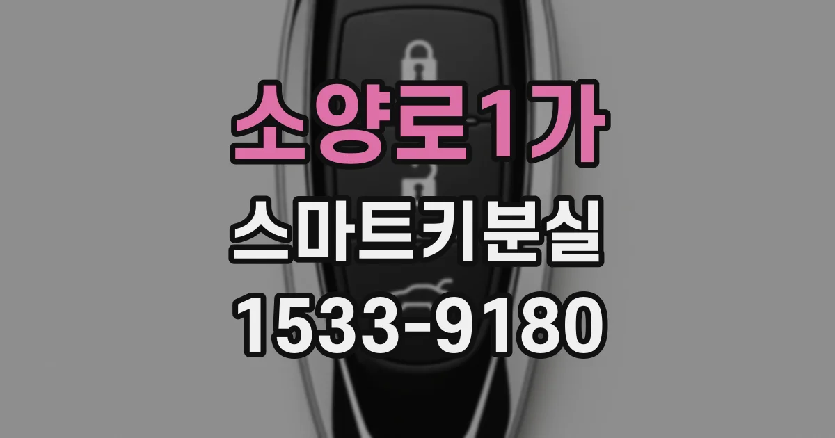 소양로1가 스마트키분실