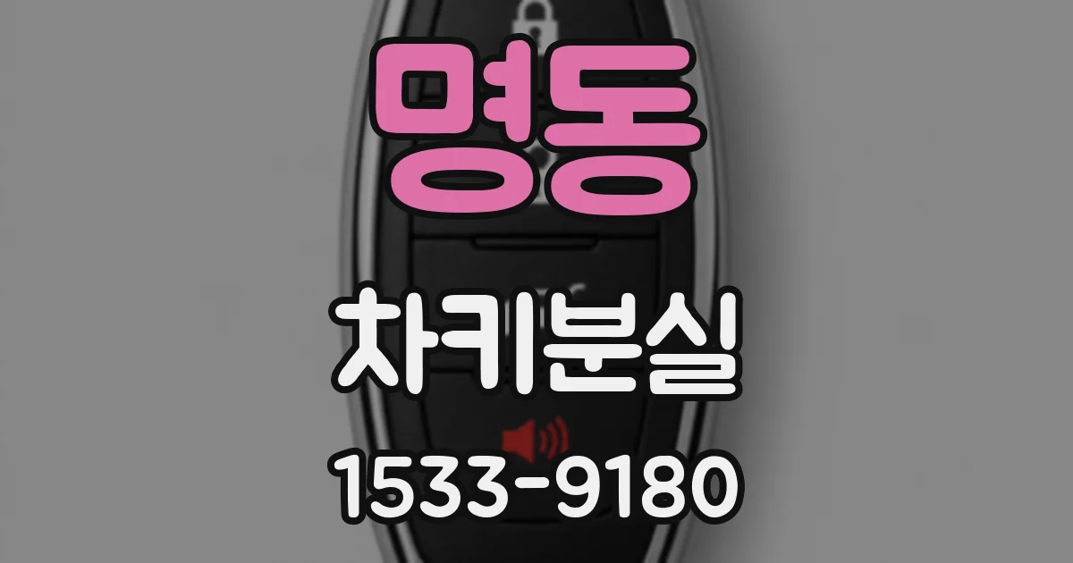 명동 차키분실
