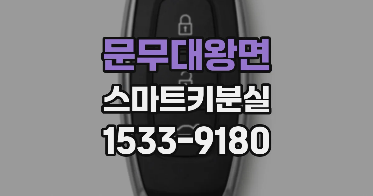 문무대왕면 스마트키분실