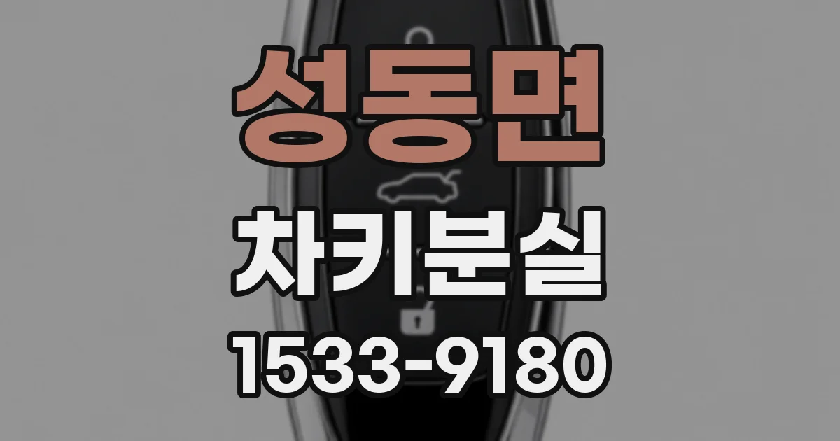 성동면 차키분실
