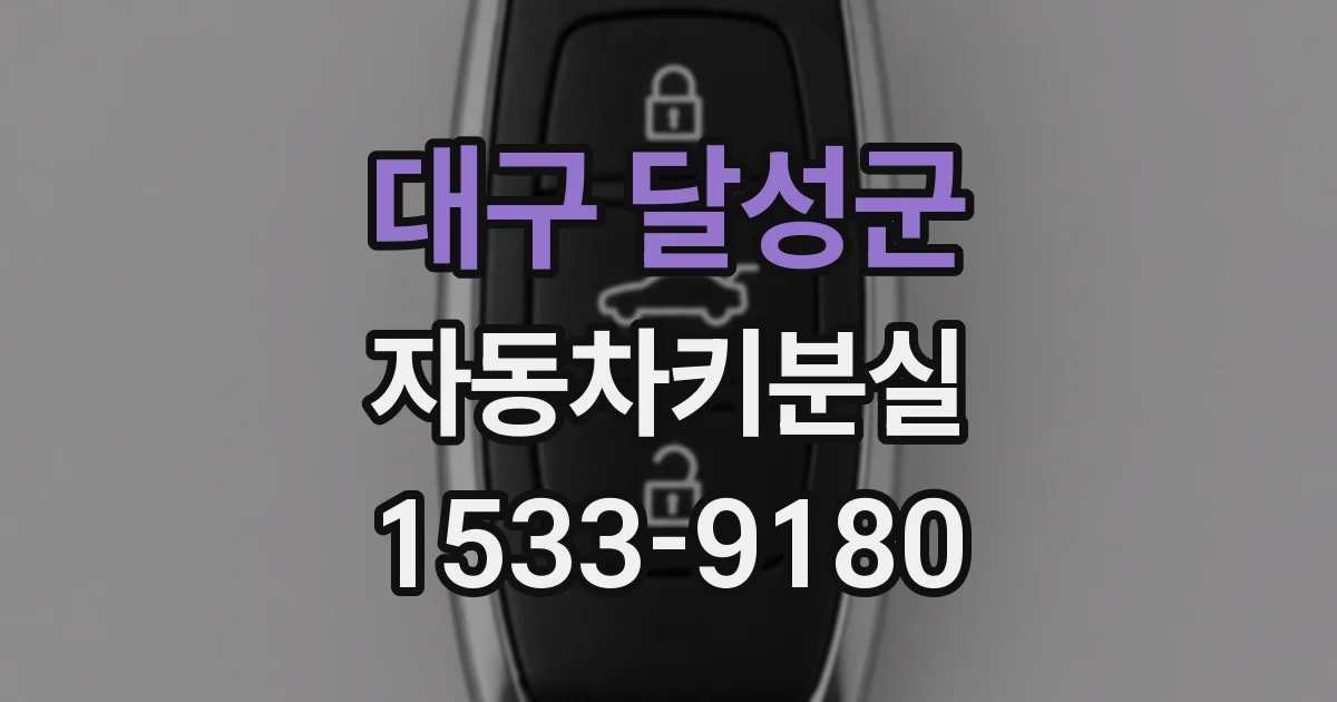 대구 달성군 자동차키분실