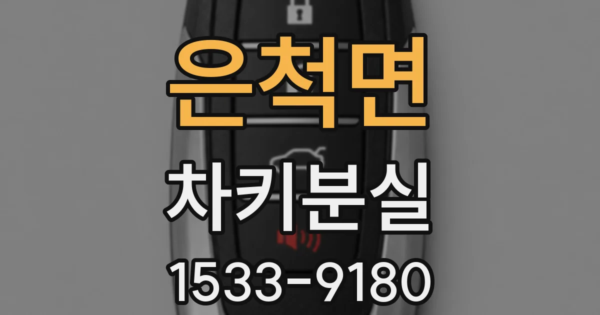 은척면 차키분실