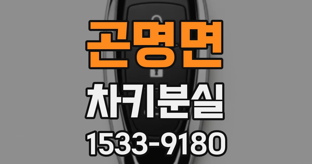 곤명면 차키분실