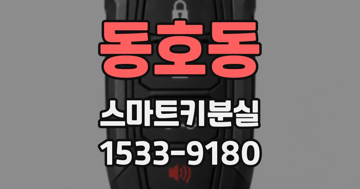 동호동 스마트키분실