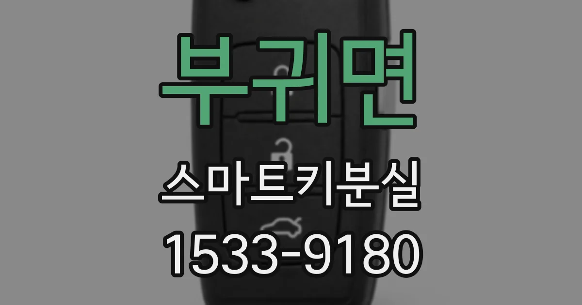 부귀면 스마트키분실