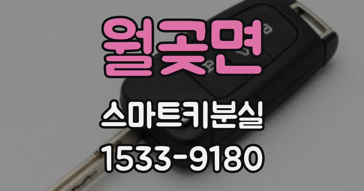 월곶면 스마트키분실