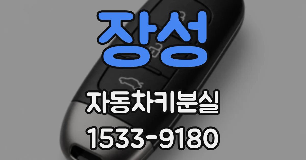 장성 자동차키분실