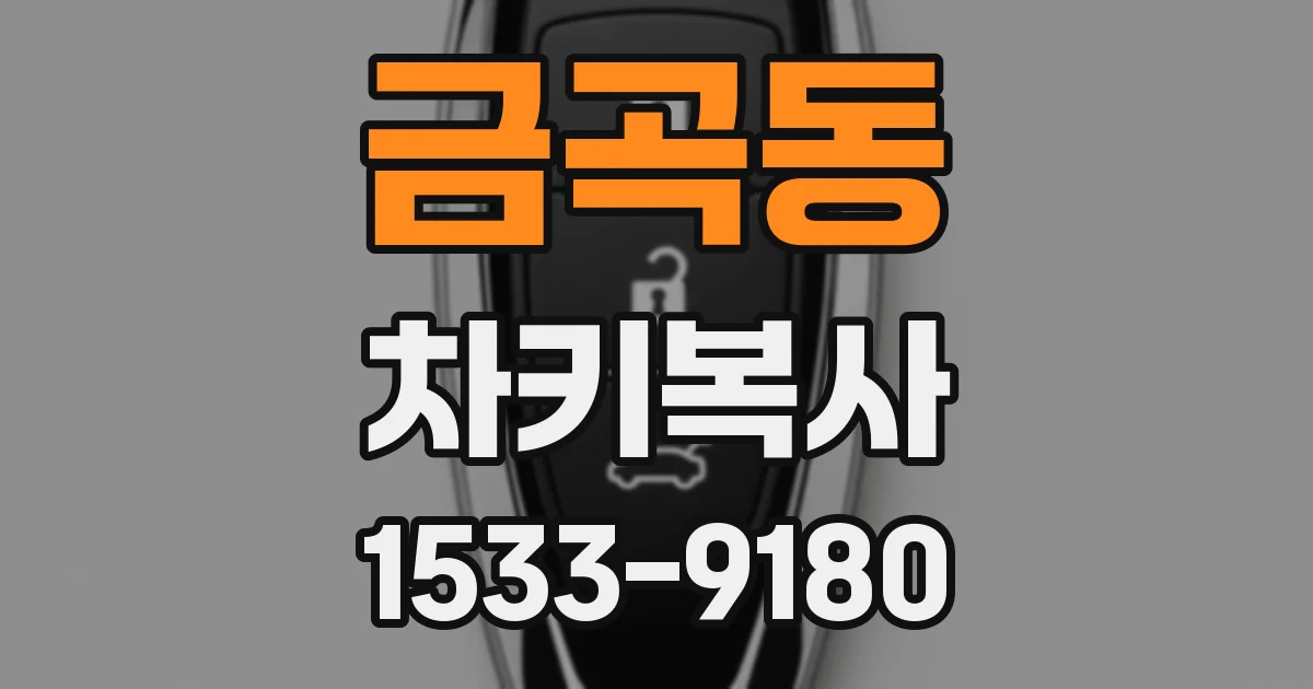 금곡동 차키복사