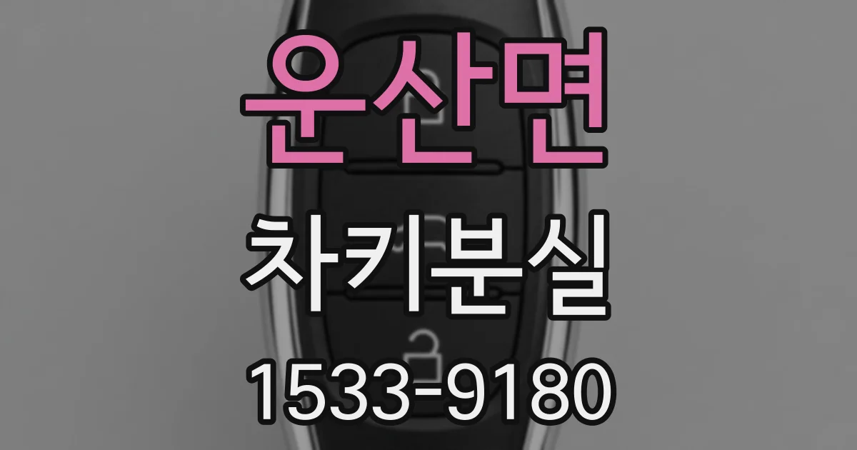 운산면 차키분실