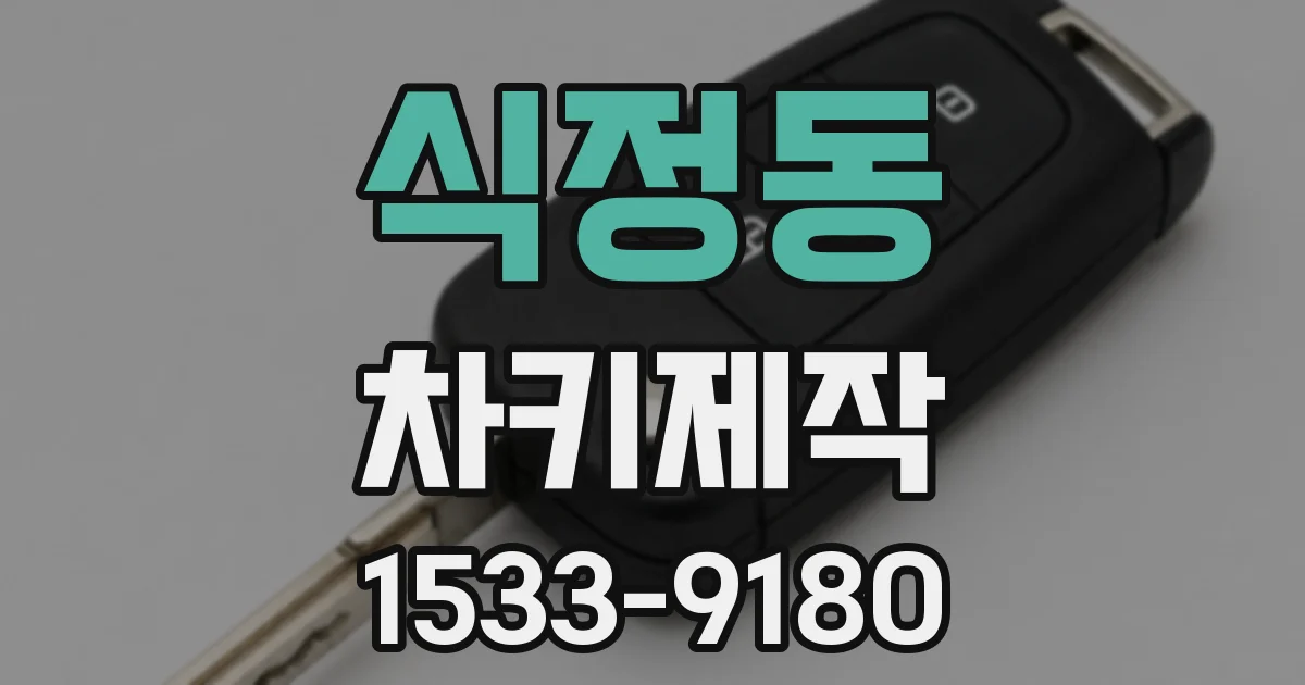 식정동 차키제작