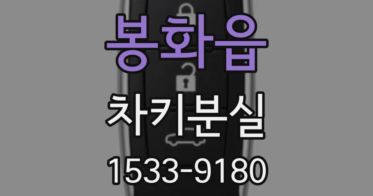 봉화읍 차키분실
